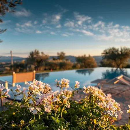 Holiday Moriaolo By Interhome Ferienhaus Toscella
