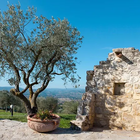 Holiday Moriaolo By Interhome Ferienhaus Toscella